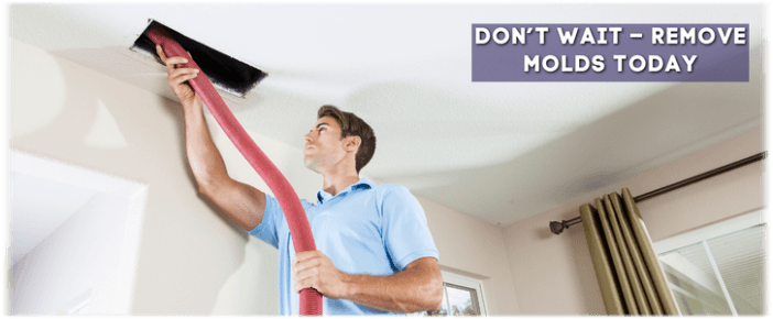 Air Duct Mold Removal in San Bernardino